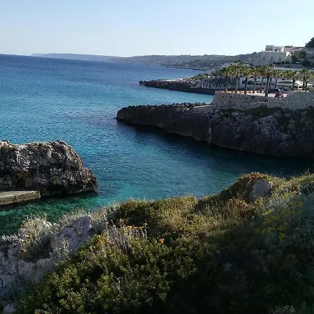 La Mimosa Отель типа 