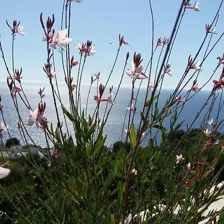 La Mimosa ベッド・アンド・ブレックファスト Castro (Lecce)