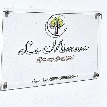 La Mimosa B&B 3*